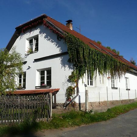 温考夫膳食公寓民宿 Sázava 外观 照片